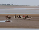 principals gallop across Solway sands