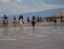 2016 Cavalcade cross the Solway Shore 