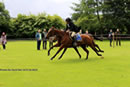 Frank Johnstone Cornets Chase Winner
