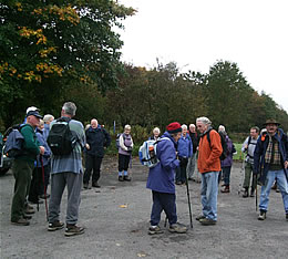 Annan Walking Group go to Ae Forest